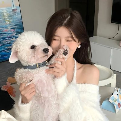 玻璃蜘蛛网